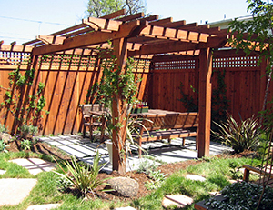Backyard-featuring-xeriscaping-and-redwood-landscaping