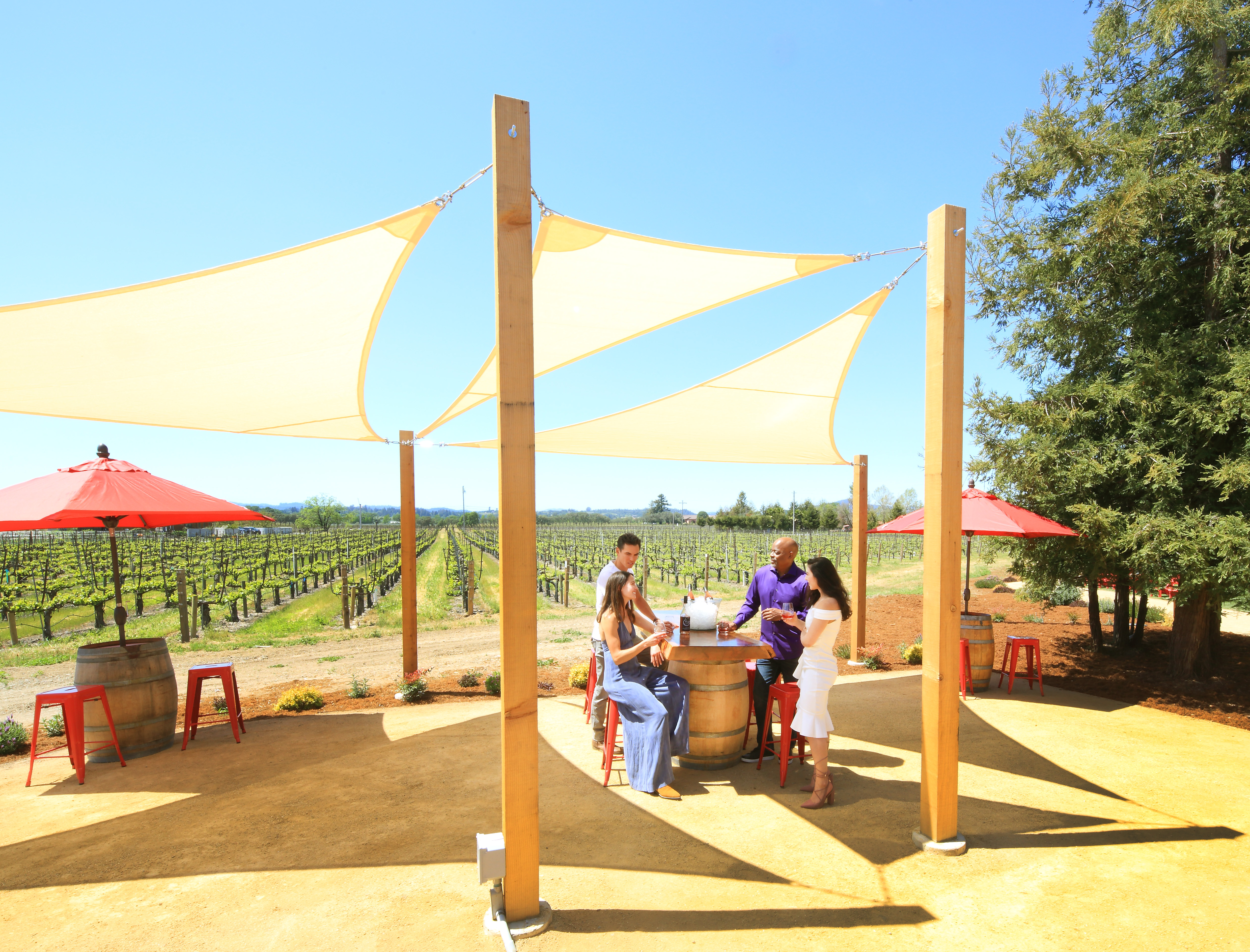 Redwood Timbers Support Large Shade Sails at Hook & Ladder Winery