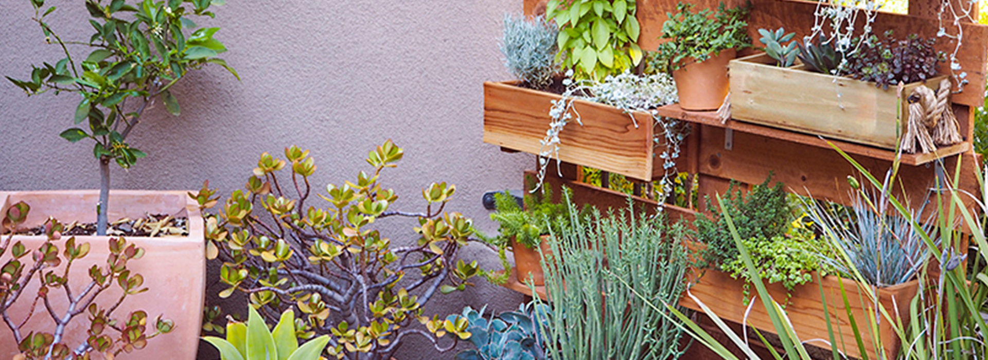 DIY Vertical Box Planter Garden