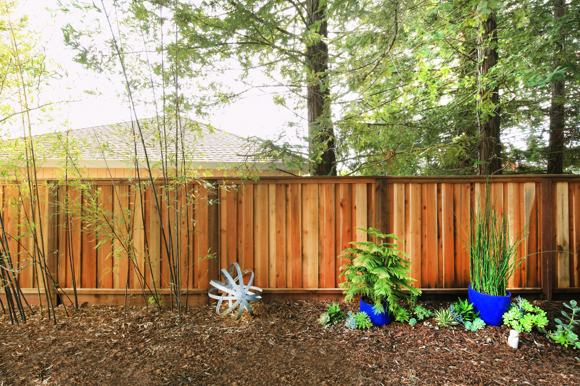 Redwood Fence